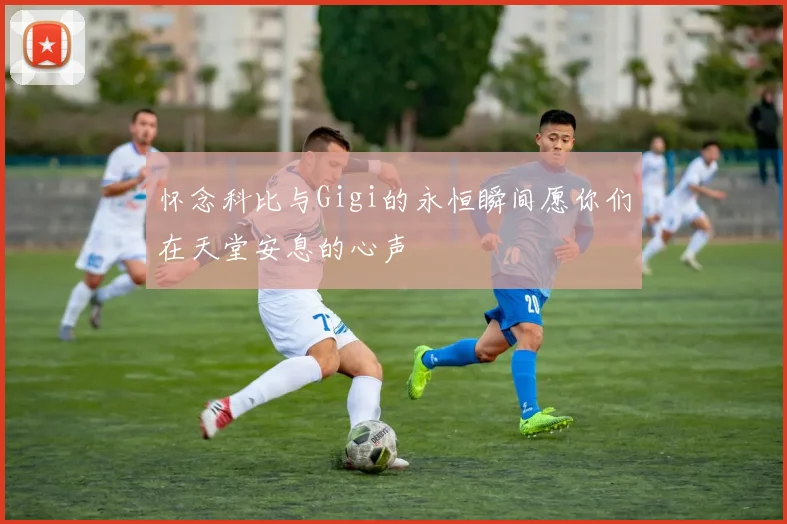 怀念科比与Gigi的永恒瞬间愿你们在天堂安息的心声